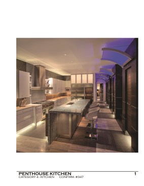 Penthouse+Kitchen