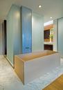 Frosted glass boxes, flanking a step-up passageway, enclose a shower and toilet compartment.