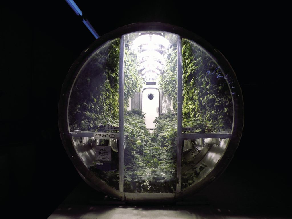 Multipurpose Module This collapsible greenhouse, meant for growing produce in space, could be useful in urban centers.