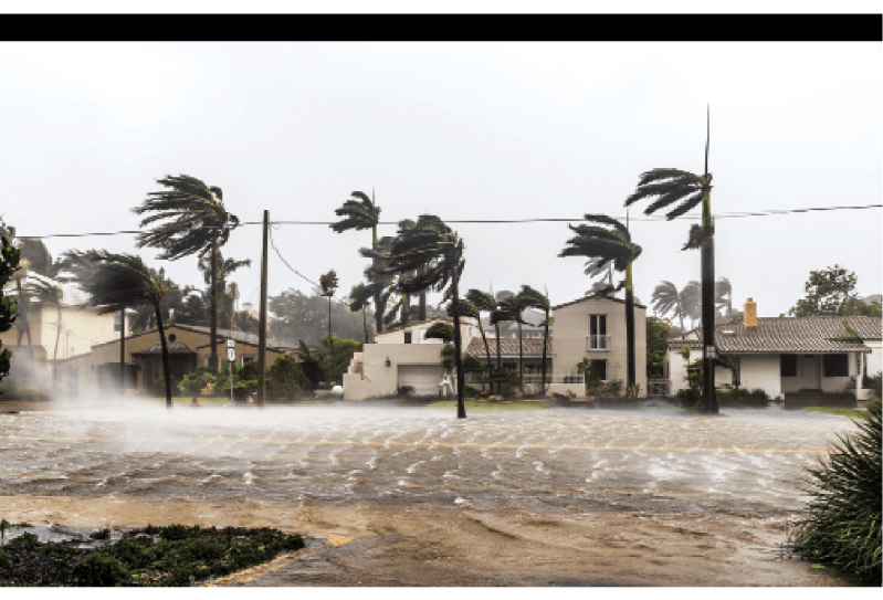 Irma flooded Las Olas Boulevard in Fort Lauderdale, but left little damage in its wake.