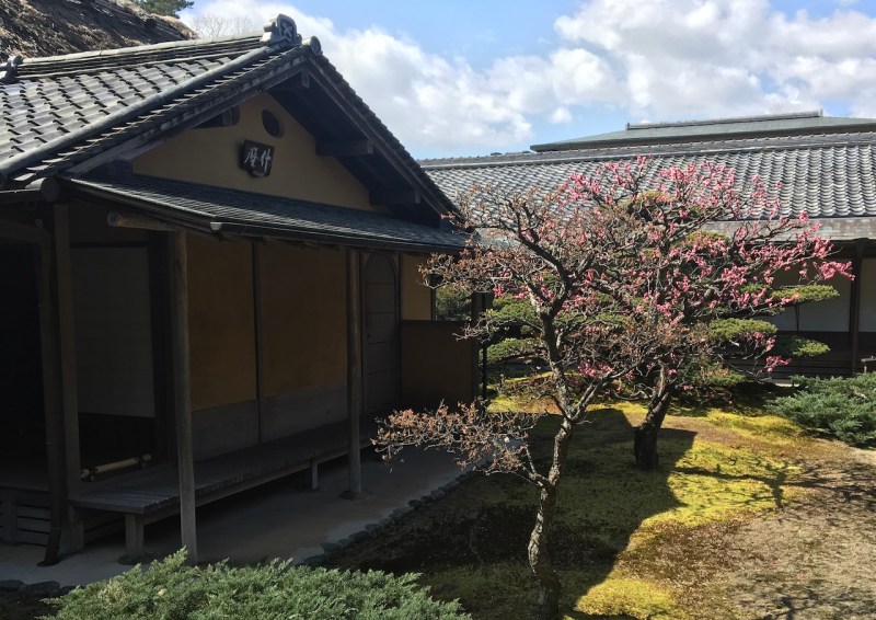 Buddhist Temple Jinko-In, Nara, Japan