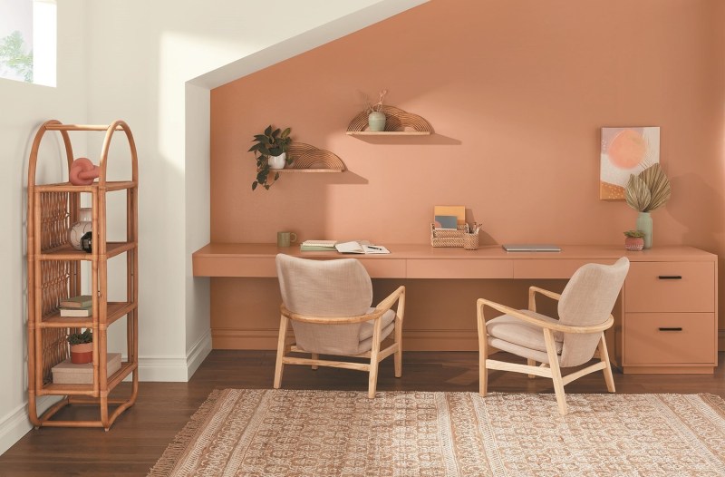 Desert Carnation – A faded natural terracotta