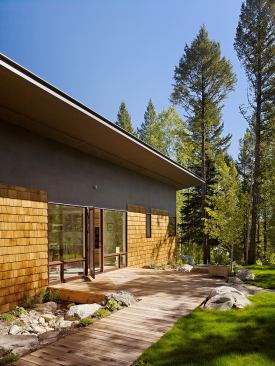 The site’s many trees cast shadows that help to naturally cool the building, which has no air conditioning.
