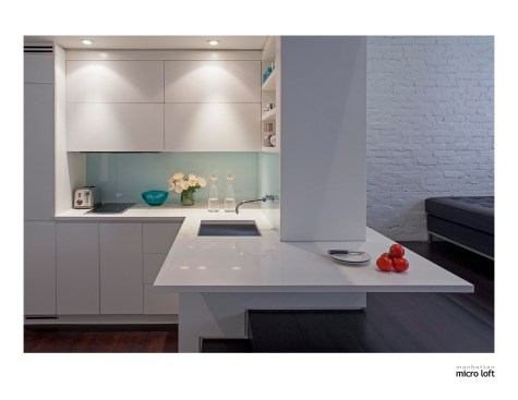 Manhattan+Micro+Loft