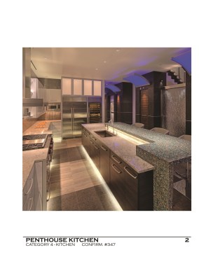 Penthouse+Kitchen