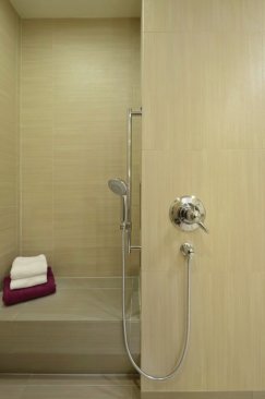 The+shower+fixture+controls+are+accessible+from+wheelchair+height.+