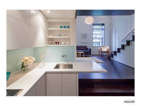 Manhattan+Micro+Loft