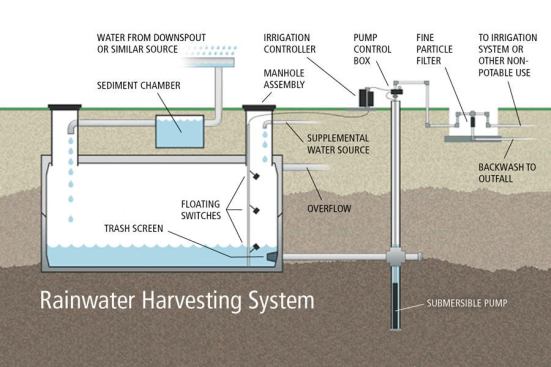 Bost's rainwater harvesting systems help owners cut their municipal water use by collecting runoff from their roofs for irrigation and other non-potable uses.