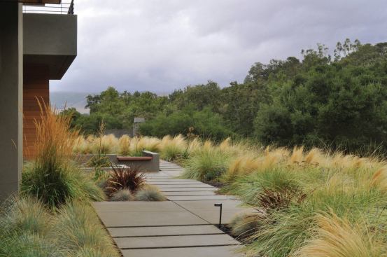 Hardscaping includes integral sandwash finish concrete that helps manage runoff. Landscape Architect: Huettl Landscape Architecture, Walnut Creek, Calif.; Architect: Swatt|Miers, Emeryville, Calif., Builder: K. Daniel Kenny & Company, San Ramon, Calif.