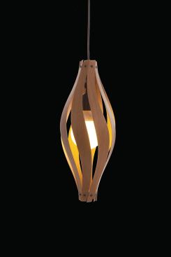 Fashioned of hardwood plywood and measuring 47 inches long, the Cocoon pendant is made up of eight leaves that assemble easily. The unit is offered in oak, maple, walnut, and cherry. MacMaster. 
www.macmasterdesign.com.&nbsp;