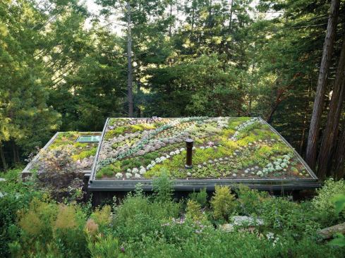 The lower cabin&iacute;s green roof became a garden art project.