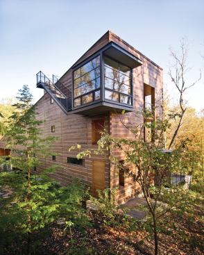 A bird-watching perch provides access to the grass roof via an exterior stair.
