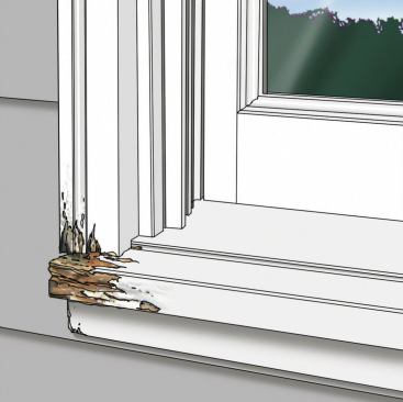 Untreated, soft juvenile wood in window frames and trim will rot quickly if it’s in frequent contact with puddled rainwater—especially if the area can’t readily drain or dry out. End grain is particularly prone to soaking up water. And in hot, humid climates, the risk of rot increases. 