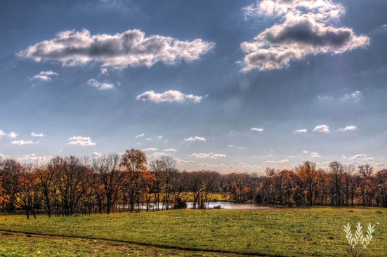 The property’s dedicated open land encompasses fields, woods, and ponds.